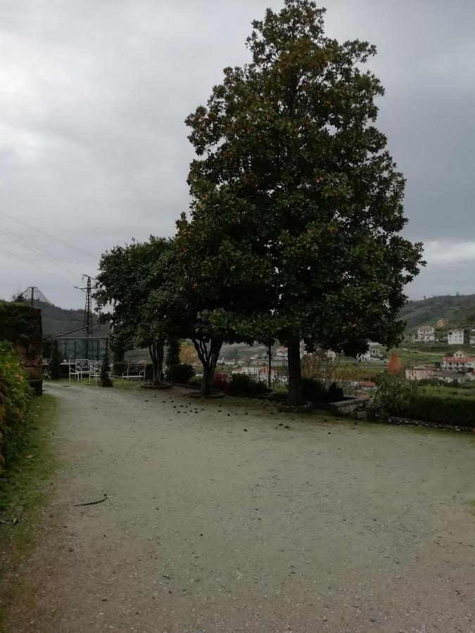 Quinta Da Tapada * Avô